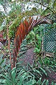 Thumbnail for version as of 12:10, 19 December 2010
