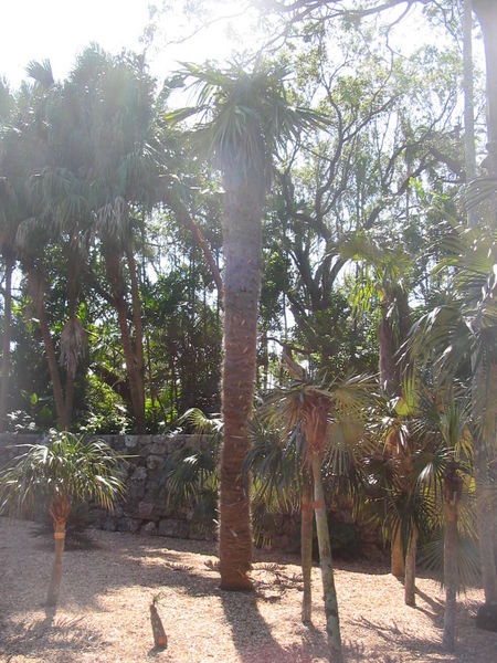 File:IMG 3341.JPG