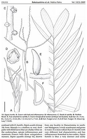 Dt00421887.JPG