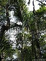 Thumbnail for version as of 01:28, 3 December 2014