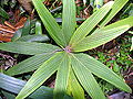 Thumbnail for version as of 13:38, 2 October 2012