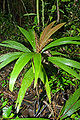 Thumbnail for version as of 13:13, 2 October 2012