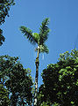 Thumbnail for version as of 03:25, 8 October 2012