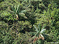 Thumbnail for version as of 01:19, 13 October 2012
