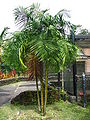 Thumbnail for version as of 14:48, 23 May 2007