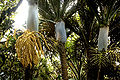 Thumbnail for version as of 13:16, 22 November 2012