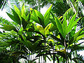 Thumbnail for version as of 14:07, 30 September 2012
