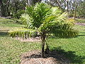 Thumbnail for version as of 16:57, 8 May 2007