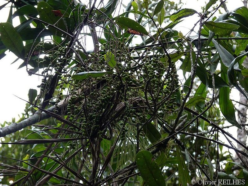 File:15255399553 9d408f260e o.jpg