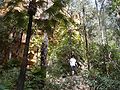 Thumbnail for version as of 01:03, 29 September 2013