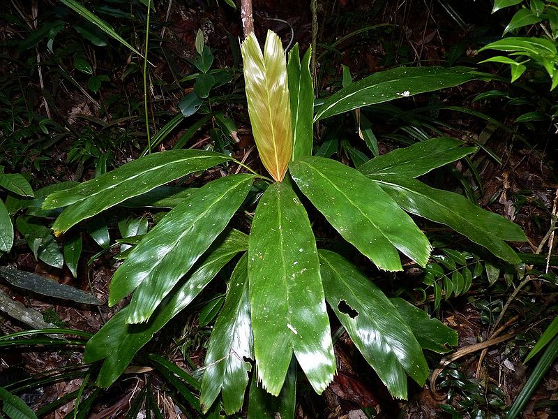 File:10712092315 63d7f23053 o.jpg