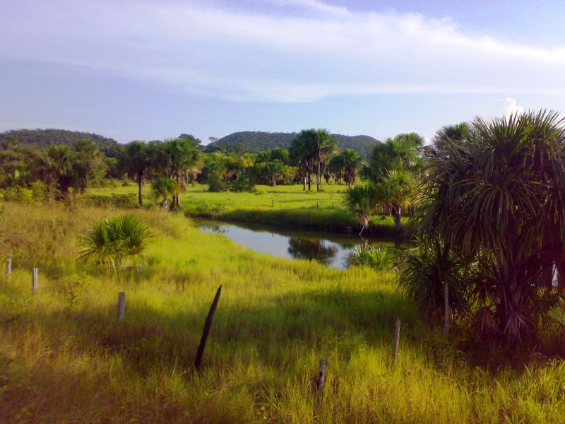 File:Roadside Petrolina Roraima.jpg
