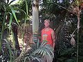 Thumbnail for version as of 00:55, 4 July 2015
