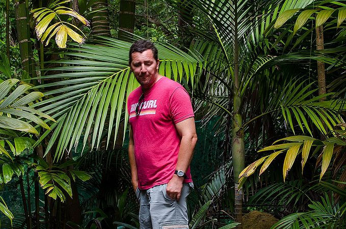 Basselinia favieri Palmpedia Palm Grower's Guide