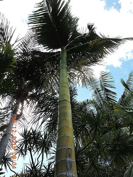 File:Post-7381-0-28895700-1419997132.jpg