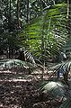 Thumbnail for version as of 23:45, 16 February 2015