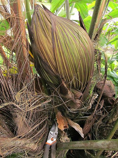 File:Post-1300-0-86491300-1344888389.jpg