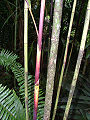 Thumbnail for version as of 14:08, 30 September 2012