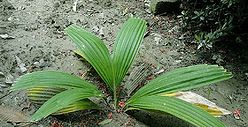 CqDSC02649.jpg